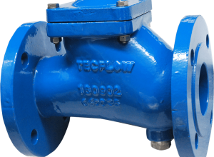 Ball Check Valve