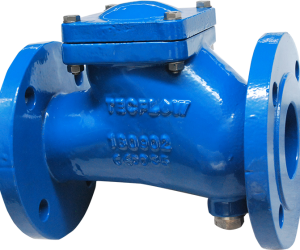A Ball Check Valve